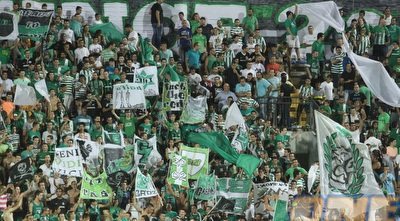 אוהדי מכבי חיפה (עמית מצפה) אוהדי מכבי חיפה (עמית מצפה)