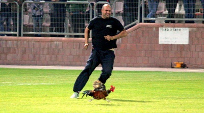 בסכנין רוצים לשמור על הקמע החדש (משה חרמון)