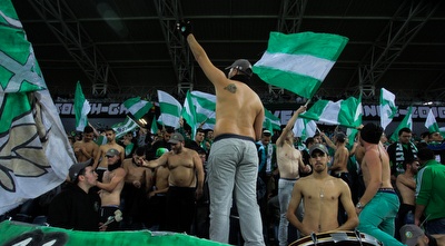 אוהדי מכבי חיפה (עמית מצפה)