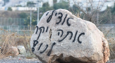 גרפיטי על אצילי (נעם מורנו) גרפיטי על אצילי (נעם מורנו)