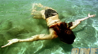 שחיה בחופי יוון, חובה לכל מטייל (רויטרס ) שחיה בחופי יוון, חובה לכל מטייל (רויטרס )