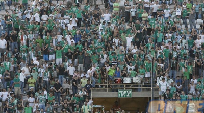 אוהדי מכבי חיפה. יקיימו טורניר אוהדים (אמיר לוי) אוהדי מכבי חיפה. יקיימו טורניר אוהדים (אמיר לוי)