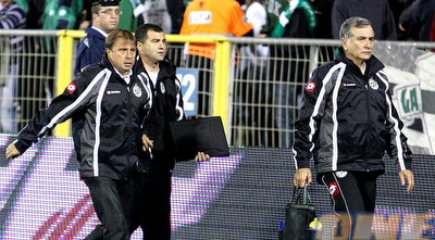 אלישע לוי (עמית מצפה)