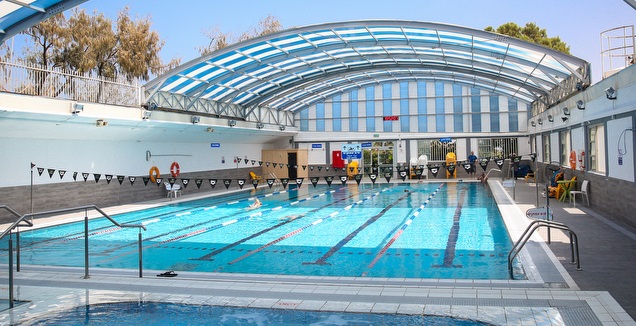 בריכה. אילוסטרציה (איציק בלניצקי)