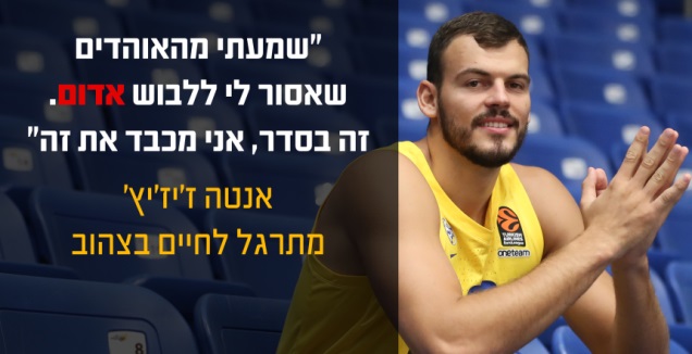 אנטה ז'יז'ץ' (גרפיקה: קרולינה אירכמן) (רדאד ג'בארה)
