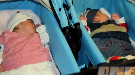 תכירו את התאומים: סאן (הג'וניור) וליון (היורשת)