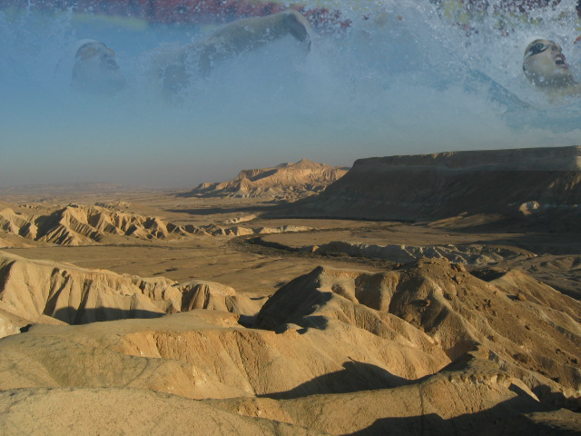 אליפות הנגב בשחייה 2014