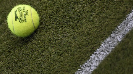 Tennis Ball (Reuters)