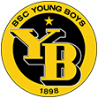 לוגו של יאנג בויז