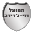 לוגו הפועל בני-ג'דידה
