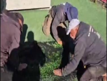 טיפול המפגע ב'שפירא' נתניה(ראובן אוחיון) טיפול המפגע ב'שפירא' נתניה(ראובן אוחיון)